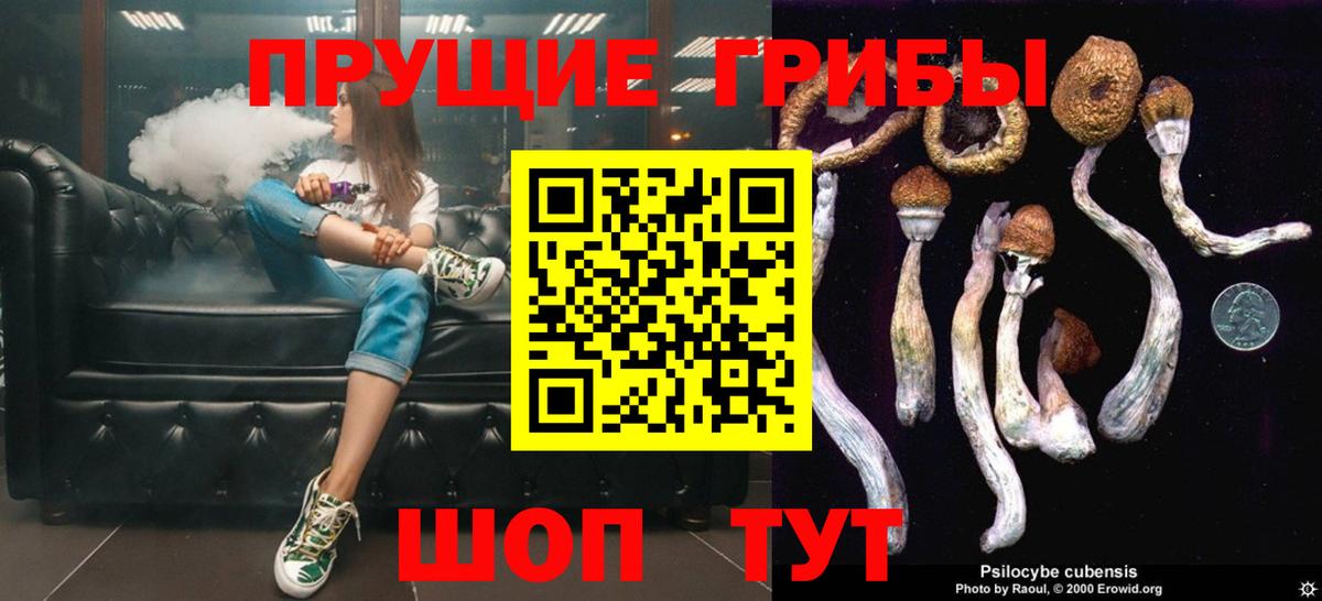 Псилоцибиновые грибы Magic Shrooms  Вход с VPN  Учалы 