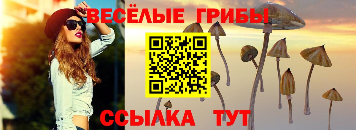 Псилоцибиновые грибы прущие грибы Учалы